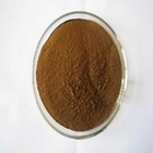 CAS No 520-26-3 Herbal Extraction Pharmaceutical Raw Material Hesperidin Powder Citrus