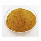 100% Natural Herbal Extraction /  Eucalyptus Leaf Plant Extract Powder