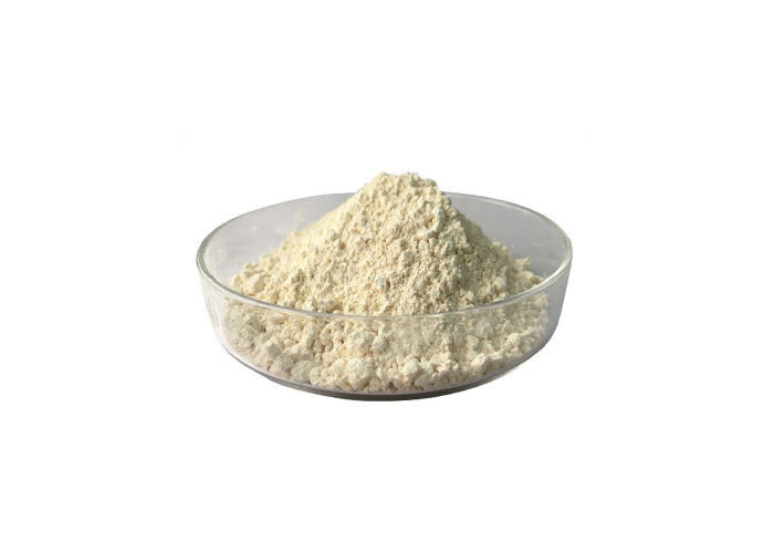 Edible Casein Nutrient Supplement Powder For Milk and Cheese Grade A