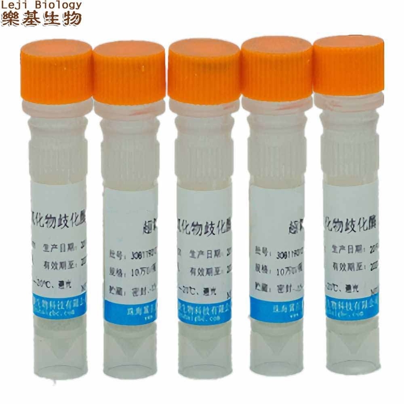 Recombinant Human Sod Superoxide Dismutase High Purity Activity Stability