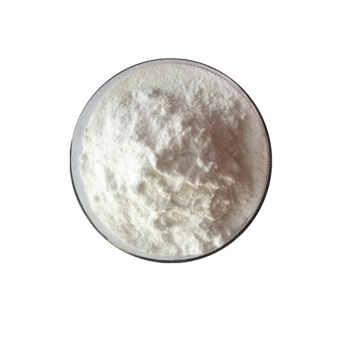 Raw Material L Theanine Powder Herbal Extract Antioxidant Immunity Adjustment