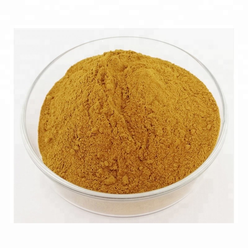 100 Natural Herbal Extraction / Eucalyptus Leaf Plant Extract Powder