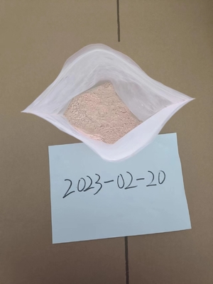 Pharmaceutical Material CAS 94-09-7 99% Pure Bulk Benzocaine Powder 71368